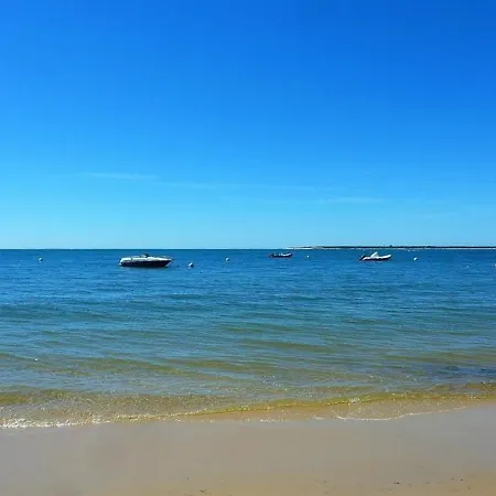 Hébergement de vacances House - Proche Centre Ville, Plage Et Commerces De Proximite, Maison 8 Personnes Avec Terrasse Et Jardin *